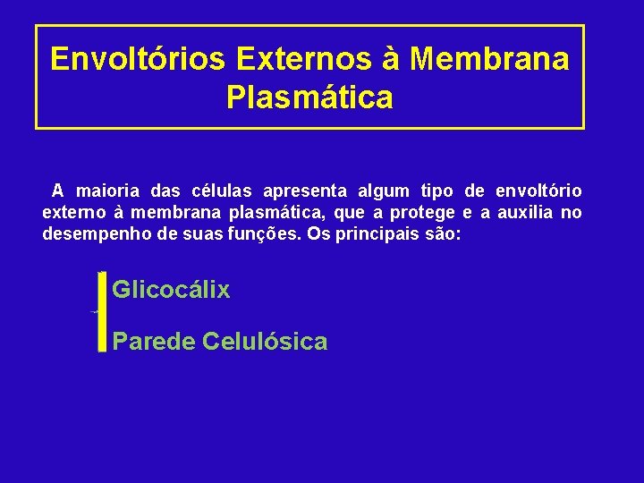 Envoltórios Externos à Membrana Plasmática A maioria das células apresenta algum tipo de envoltório