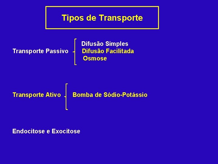 Tipos de Transporte Difusão Simples Difusão Facilitada Osmose Transporte Passivo Transporte Ativo Bomba de