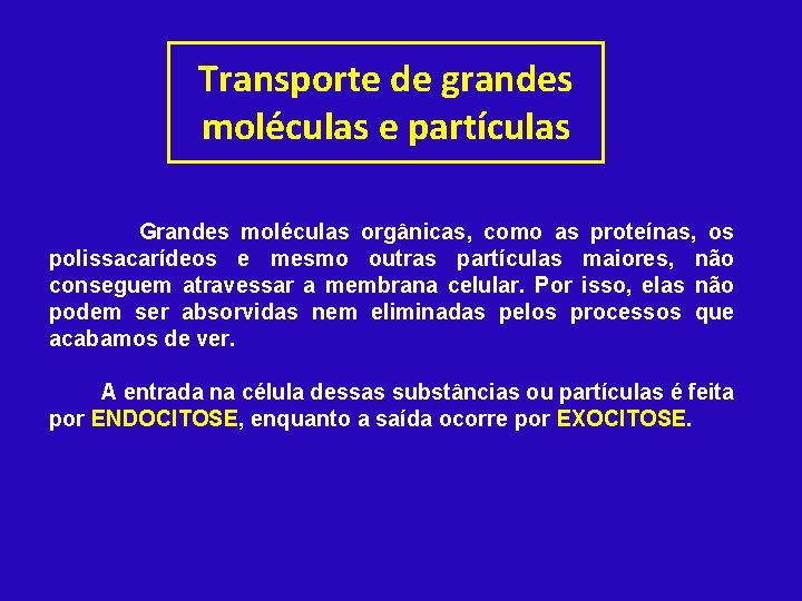 Transporte de grandes moléculas e partículas Grandes moléculas orgânicas, como as proteínas, os polissacarídeos