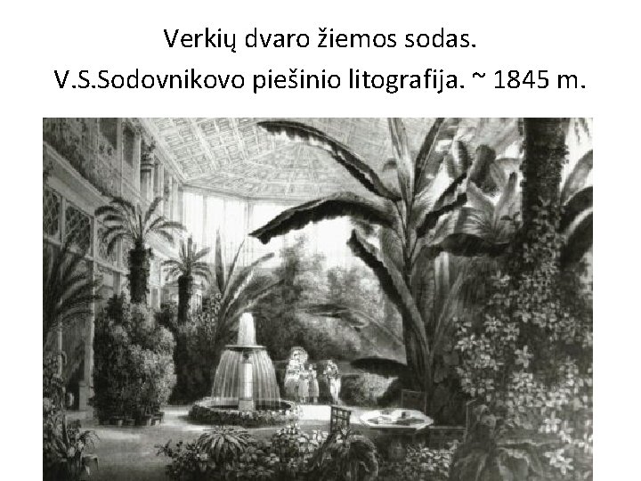 Verkių dvaro žiemos sodas. V. S. Sodovnikovo piešinio litografija. ~ 1845 m. 