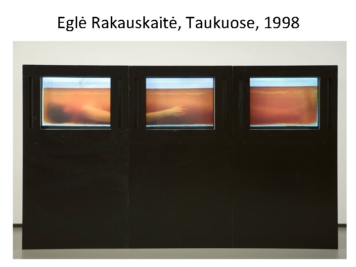 Eglė Rakauskaitė, Taukuose, 1998 