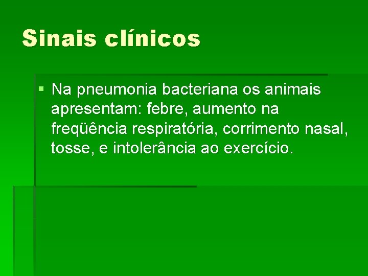 Sinais clínicos § Na pneumonia bacteriana os animais apresentam: febre, aumento na freqüência respiratória,