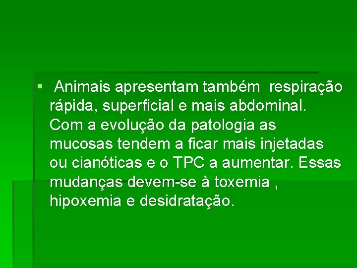 § Animais apresentam também respiração rápida, superficial e mais abdominal. Com a evolução da