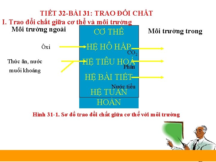 TIẾT 32 -BÀI 31: TRAO ĐỔI CHẤT I. Trao đổi chất giữa cơ thể