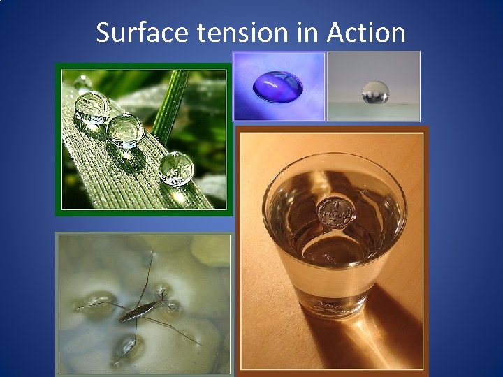 Surface tension in Action 