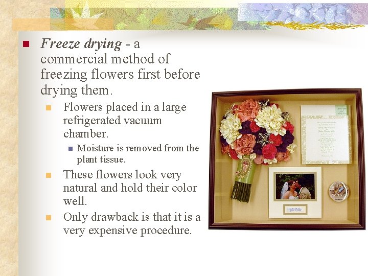 n Freeze drying - a commercial method of freezing flowers first before drying them.