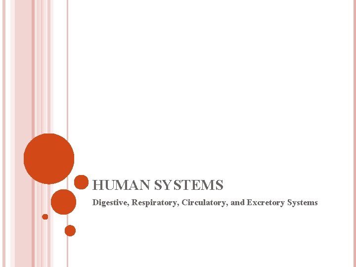 HUMAN SYSTEMS Digestive, Respiratory, Circulatory, and Excretory Systems 