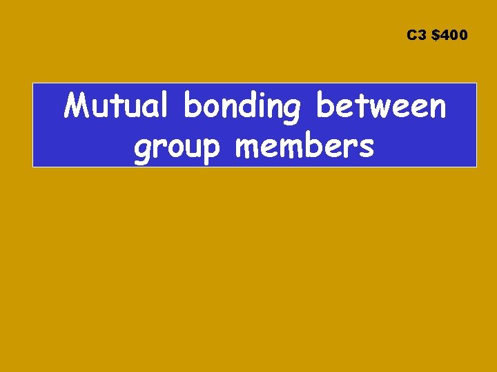 C 3 $400 Mutual bonding between group members 