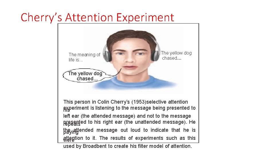 Cherry’s Attention Experiment The meaning of life is. . . The yellow dog chased.