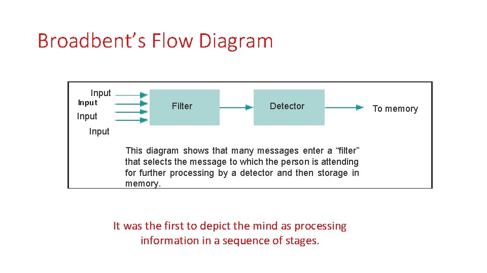 Broadbent’s Flow Diagram Input Filter Detector Input This diagram shows that many messages enter