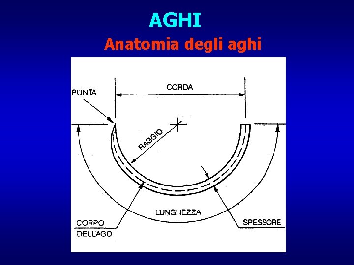 AGHI Anatomia degli aghi 