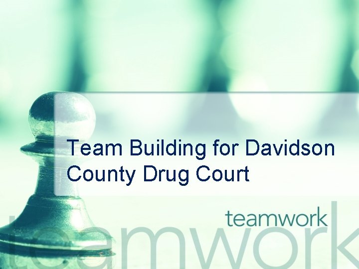 Team Building for Davidson County Drug Court 