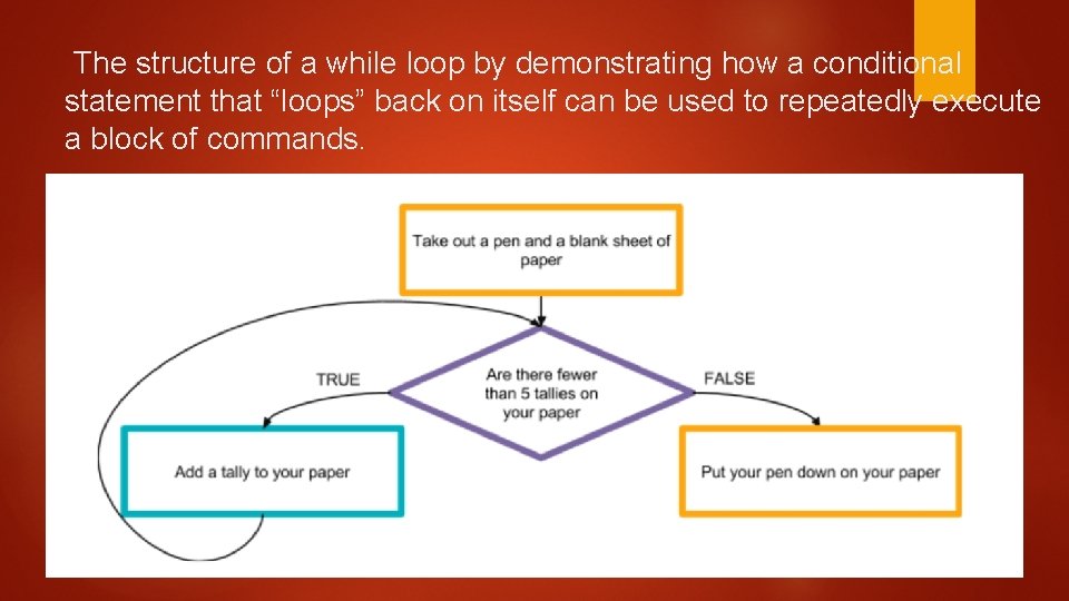  The structure of a while loop by demonstrating how a conditional statement that