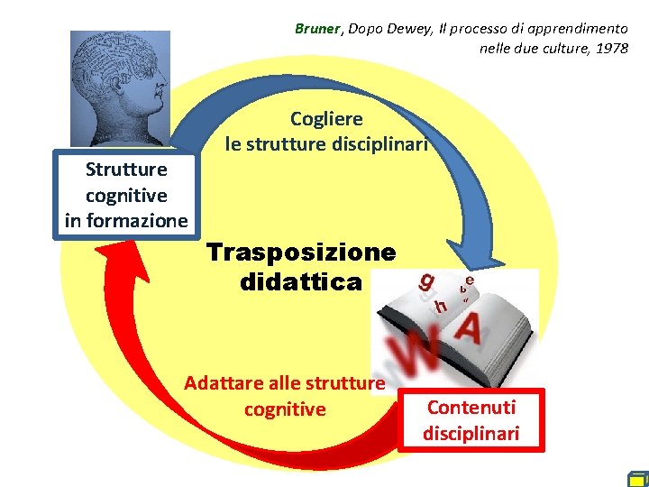 Bruner, Dopo Dewey, Il processo di apprendimento nelle due culture, 1978 Strutture cognitive in