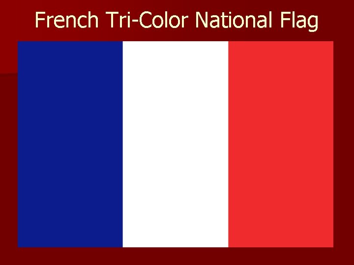 French Tri-Color National Flag 