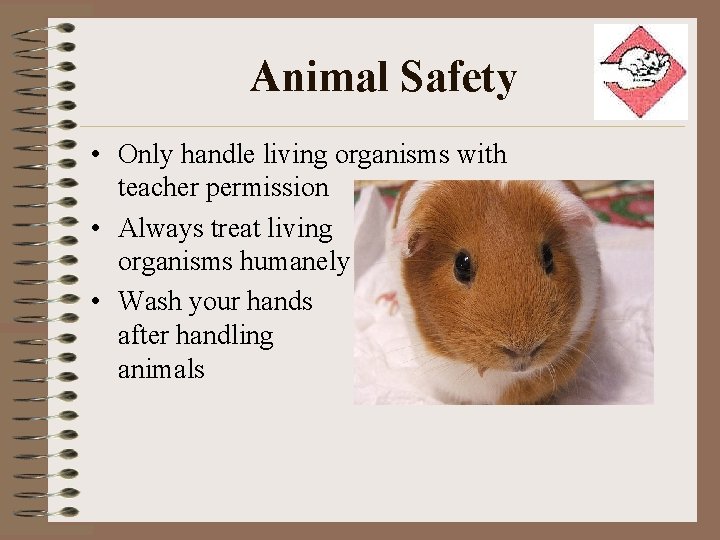 Animal Safety • Only handle living organisms with teacher permission • Always treat living
