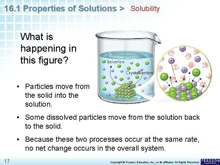 16. 1 Properties of Solutions > Solubility What is happening in this figure? •