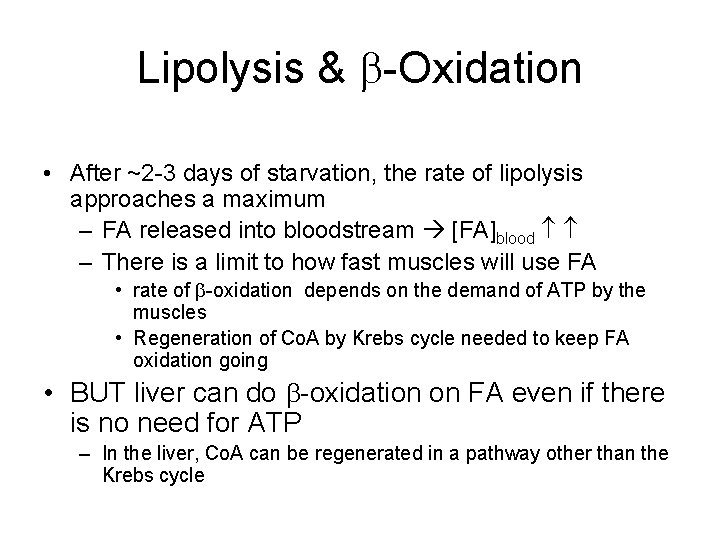 Lipolysis & b-Oxidation • After ~2 -3 days of starvation, the rate of lipolysis