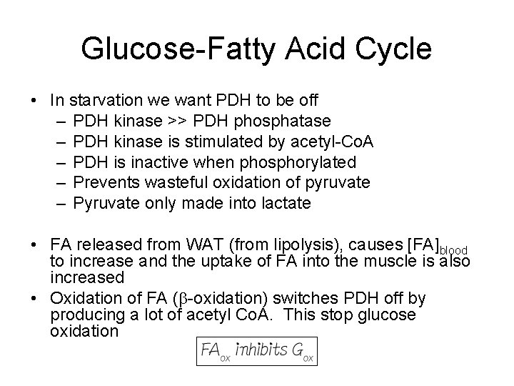 Glucose-Fatty Acid Cycle • In starvation we want PDH to be off – PDH