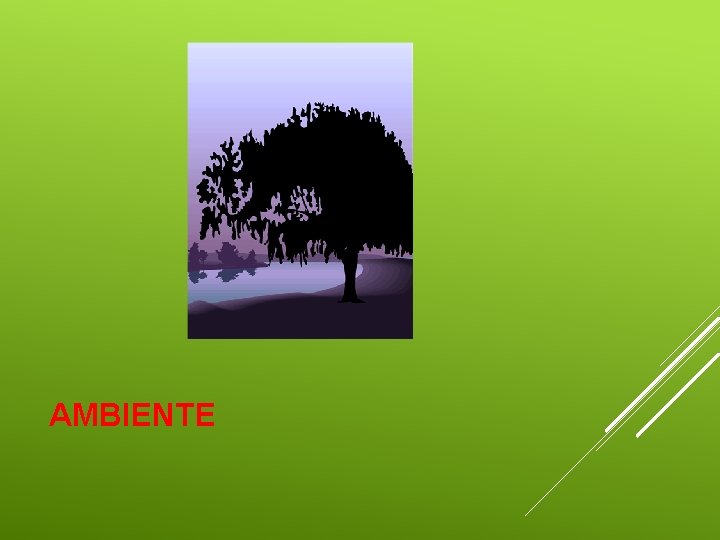 AMBIENTE 