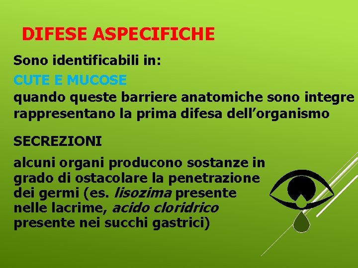 DIFESE ASPECIFICHE Sono identificabili in: CUTE E MUCOSE quando queste barriere anatomiche sono integre