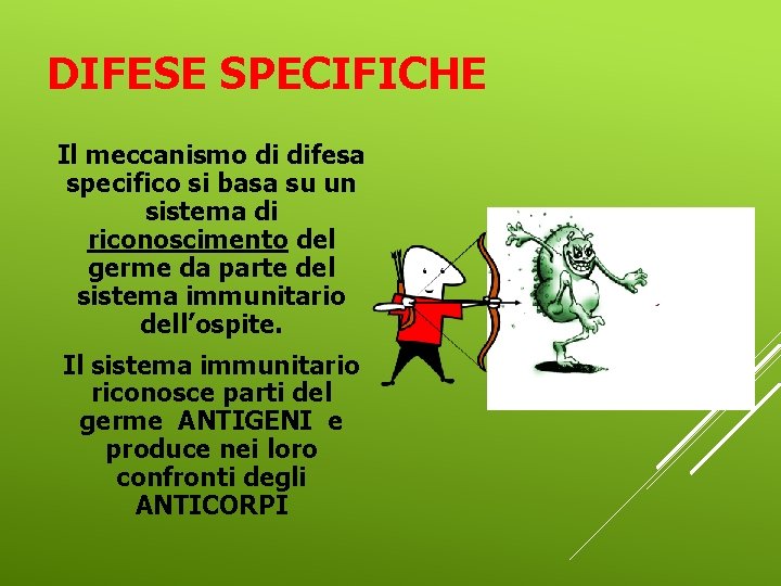 DIFESE SPECIFICHE Il meccanismo di difesa specifico si basa su un sistema di riconoscimento