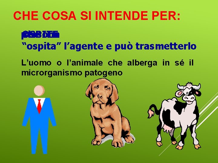 CHE COSA SI INTENDE PER: persona OSPITE che La “ospita” l’agente e può trasmetterlo