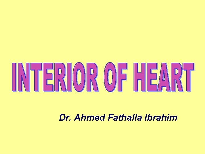 Dr. Ahmed Fathalla Ibrahim 