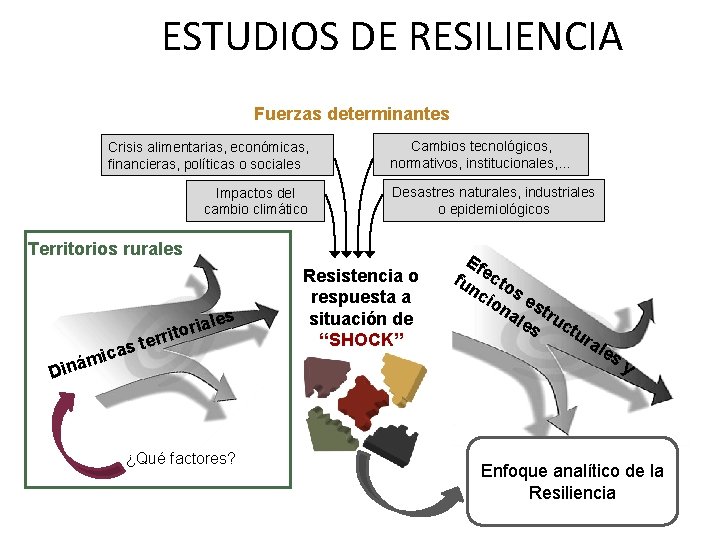 ESTUDIOS DE RESILIENCIA Fuerzas determinantes Crisis alimentarias, económicas, financieras, políticas o sociales Impactos del