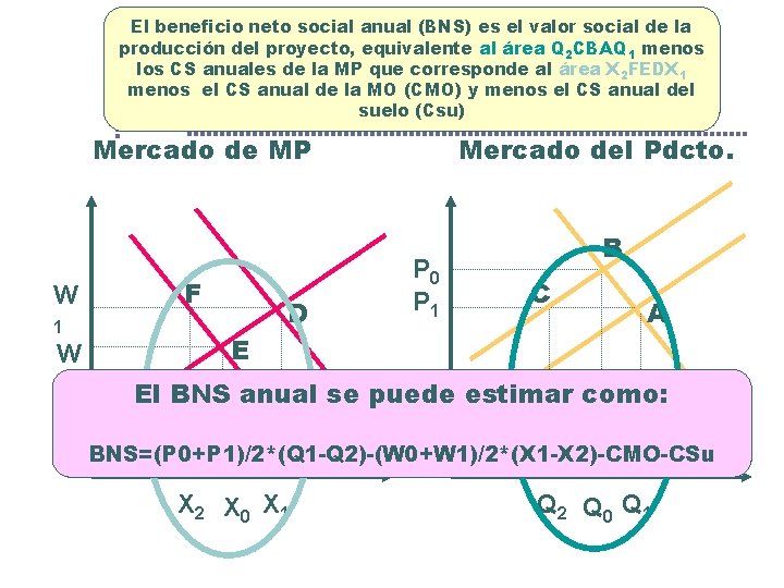 El beneficio neto social anual (BNS) es el valor social de la producción del