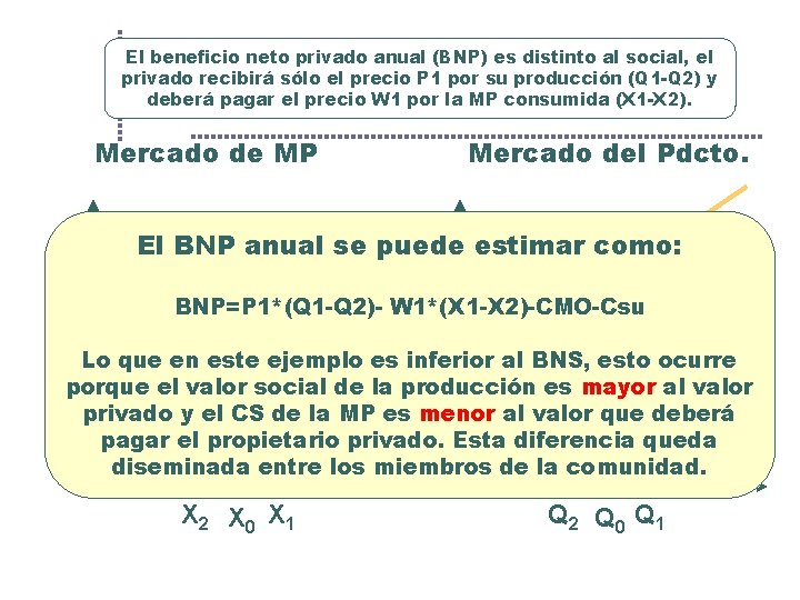 El beneficio neto privado anual (BNP) es distinto al social, el privado recibirá sólo