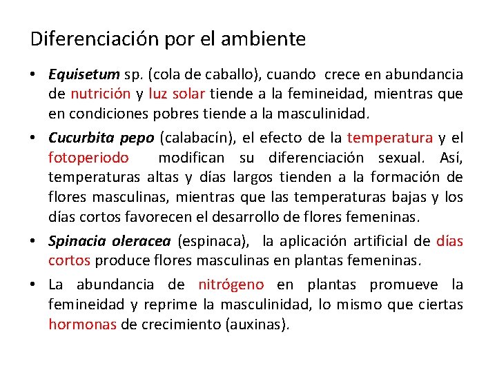 Diferenciación por el ambiente • Equisetum sp. (cola de caballo), cuando crece en abundancia