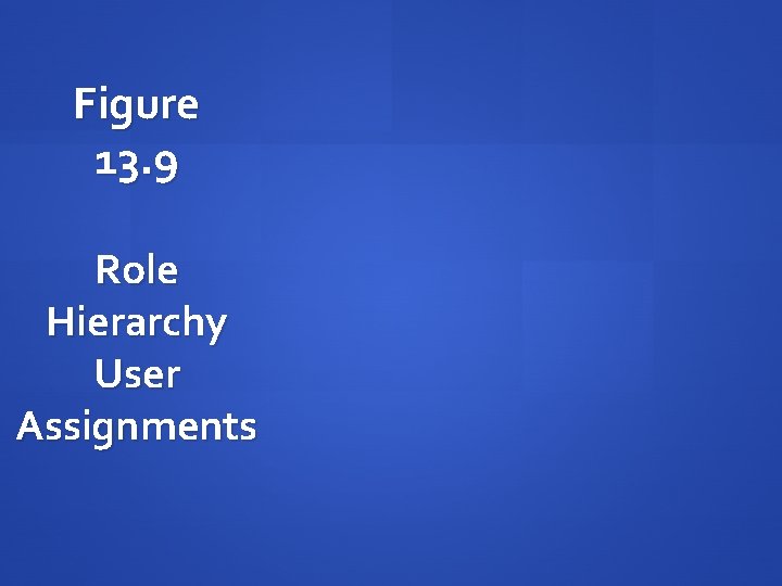 Figure 13. 9 Role Hierarchy User Assignments 