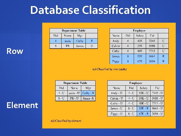 Database Classification Row Element 