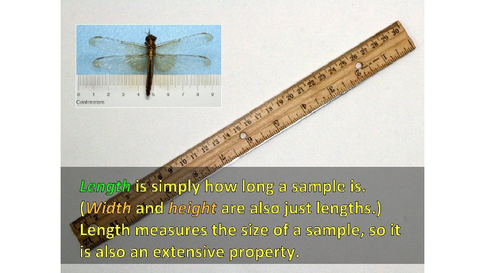 Length is simply how long a sample is. (Width and height are also just