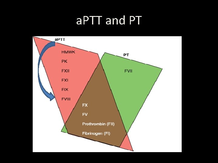 a. PTT and PT 