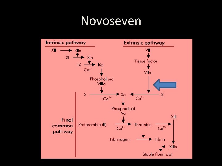 Novoseven 