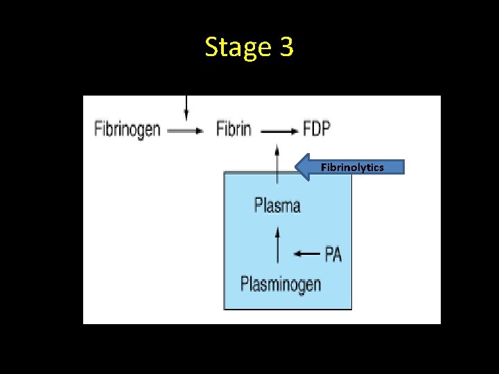 Stage 3 Fibrinolytics 