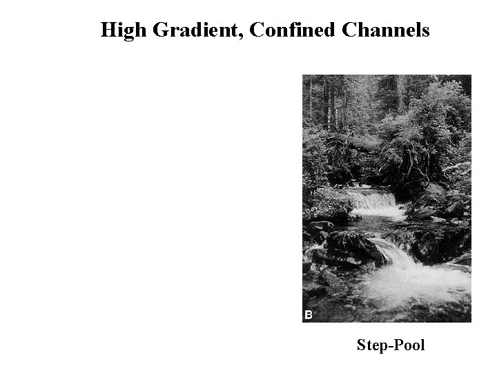 High Gradient, Confined Channels Step-Pool 