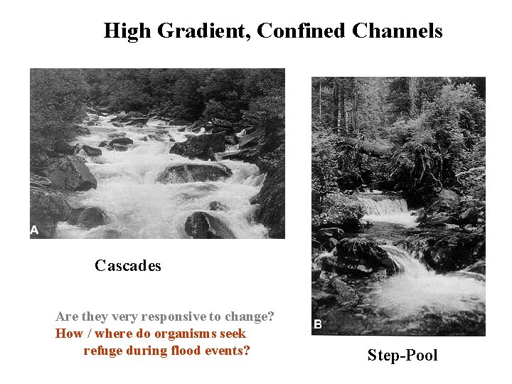 High Gradient, Confined Channels Cascades Are they very responsive to change? How / where