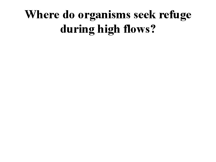 Where do organisms seek refuge during high flows? 