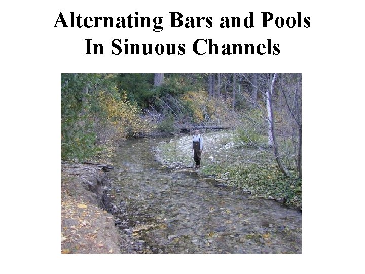 Alternating Bars and Pools In Sinuous Channels 