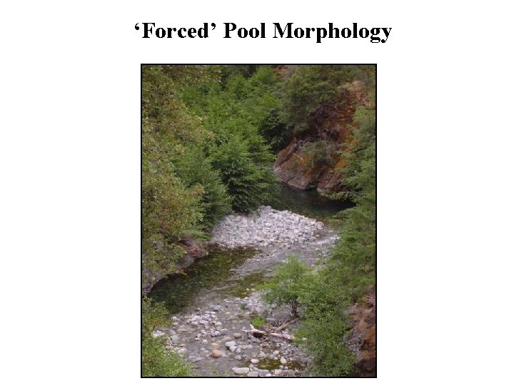 ‘Forced’ Pool Morphology 