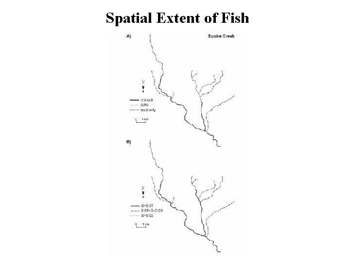 Spatial Extent of Fish 