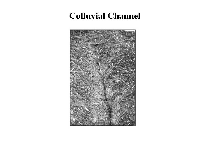 Colluvial Channel 