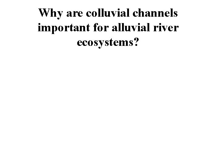 Why are colluvial channels important for alluvial river ecosystems? 