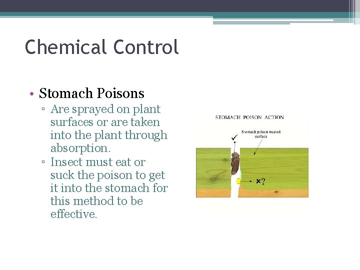 Chemical Control • Stomach Poisons ▫ Are sprayed on plant surfaces or are taken