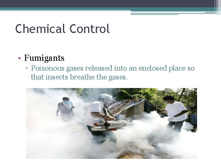 Chemical Control • Fumigants ▫ Poisonous gases released into an enclosed place so that