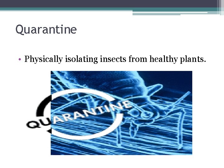 Quarantine • Physically isolating insects from healthy plants. 