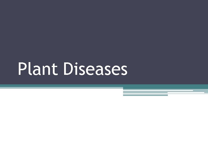 Plant Diseases 